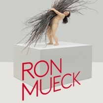 Exposition Paris - Ron Mueck  - du 16/04/2013 au 29/09/2013 - Exposition - Fondation Cartier (La)