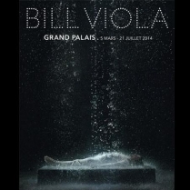 Exposition Paris - BILL VIOLA  - du 05/03/2014 au 21/07/2014 - Vido - Grand Palais (Le)