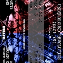 Concert Paris - Double Release Party Compilation Mind Riot Music #2 - 26/06/2014 - Post Punk Indie Electro - Espace B