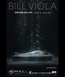 Exposition Paris - BILL VIOLA  - du 05/03/2014 au 21/07/2014 - Vido - Grand Palais (Le)