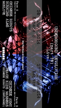 Concert Paris - Double Release Party Compilation Mind Riot Music #2 - 26/06/2014 - Post Punk Indie Electro - Espace B