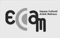 Espace Culturel  André Malraux - Région Parisienne