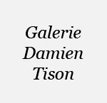 Galerie Damien Tison - Paris
