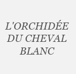 Orchidée du Cheval Blanc (L') - Région Parisienne